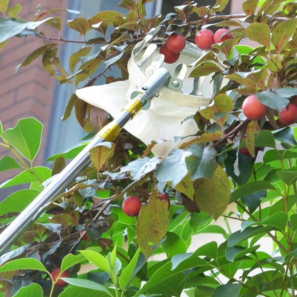 調節可能なフルーツ収穫ポールとバスケット - 果物を収穫するための便利なツール