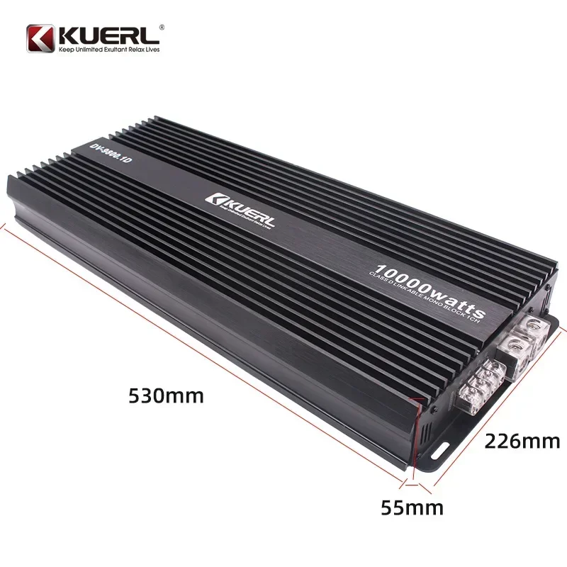 Durable 12V 3000W Car audio single channel high-power D-class digital car amplifier