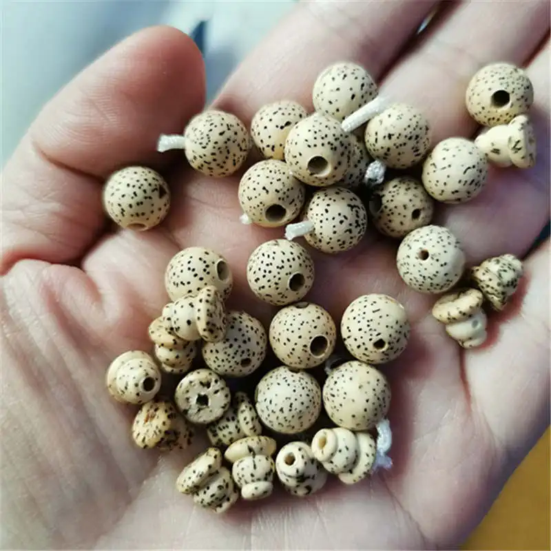 Natural Star Moon Bodhi Guru Bead 3-way Bead and Stupa Set 10mm BRO030