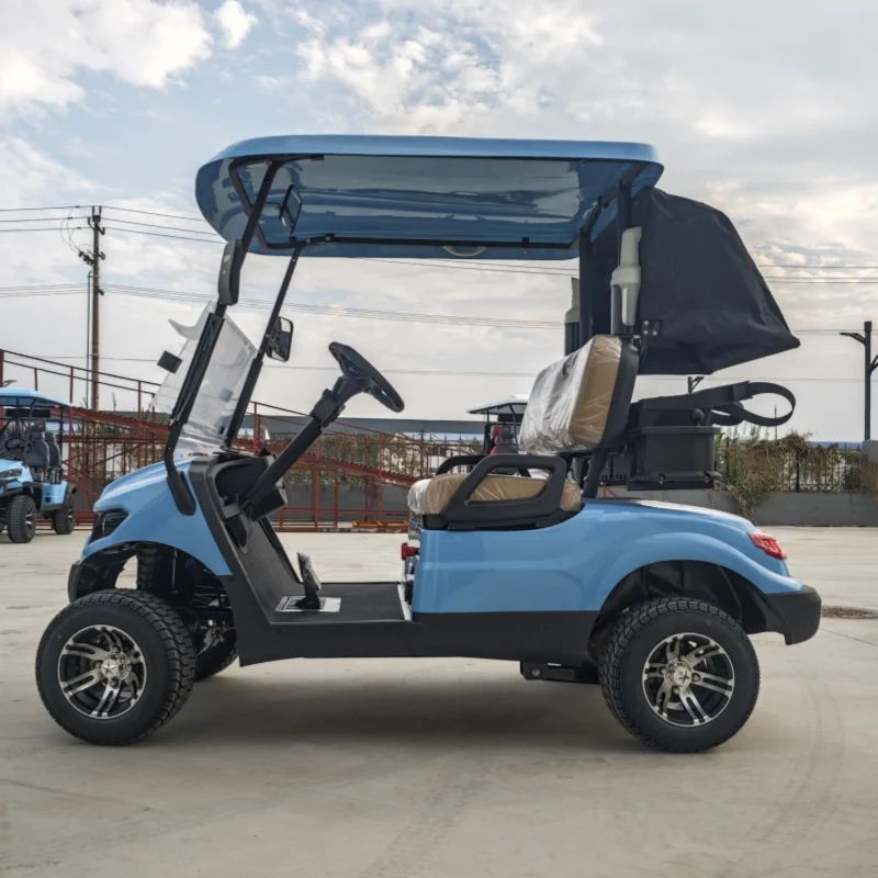 China 2 Seater Club Street Legal Utility Vehicle Car Lithium Electric Golf Cart PP Injection Molding Lining Structure Materials