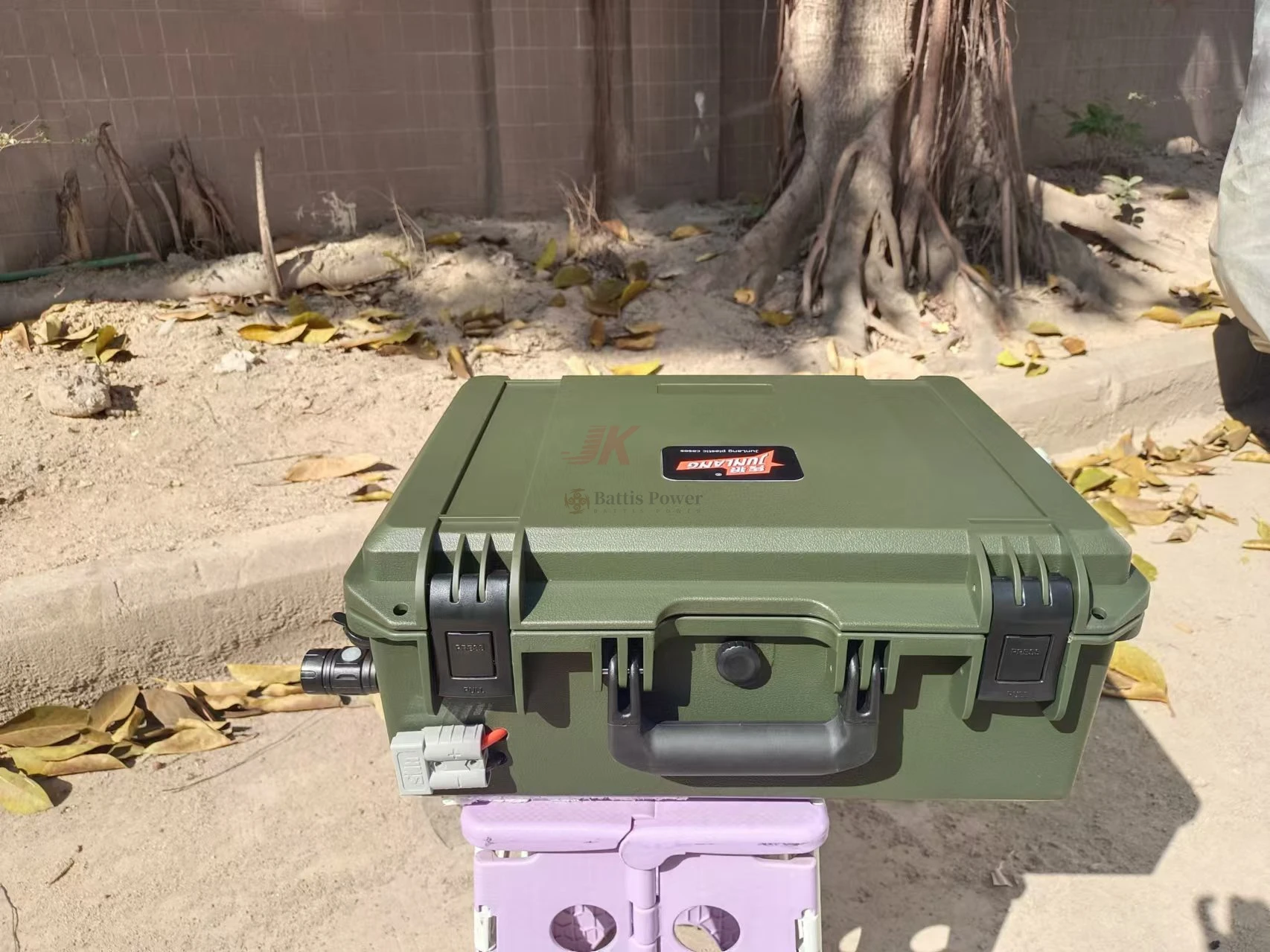 

24 В глубокий цикл LiFePO4 100 Ач 150 Ач 200 Ач 50 Ач водонепроницаемая литиевая аккумуляторная батарея Портативная мощность с зарядным устройством Bms + 10 А