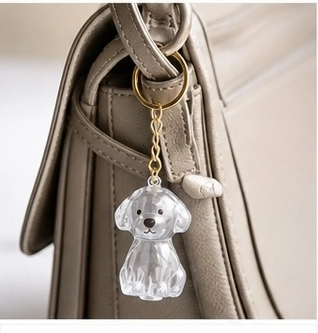 4Pcs Portable Dog Hair Keepsake Box Refillable Pet Memory Locket For Dog Transparent Memorial Keychain Collector