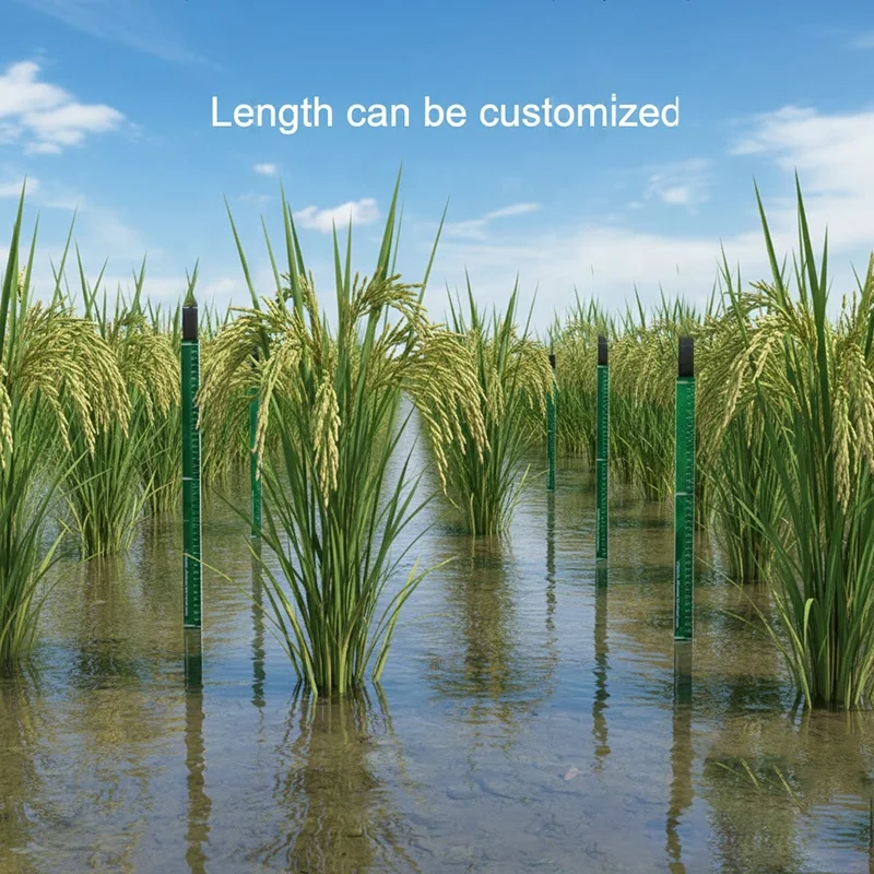 

High Sensitivity RS485 Capacitive Water Level Sensor for Paddy Field Smart Irrigation Liquid Level Monitoring System
