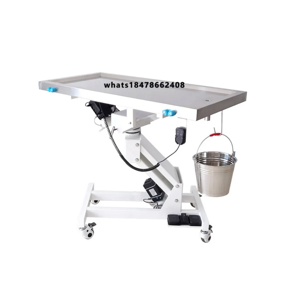 Lize Pet Stainless Steel Lifting Surgery Auxiliary Veterinary Equipment Operating Instruments Veterinary Surgical Instruments