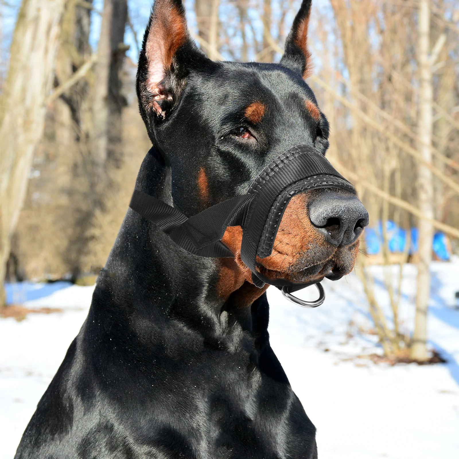 

Breathable Dog Muzzle Adjustable Anti-Bite Pet Accessory for Safe Playing and Adjustable Dog Muzzle