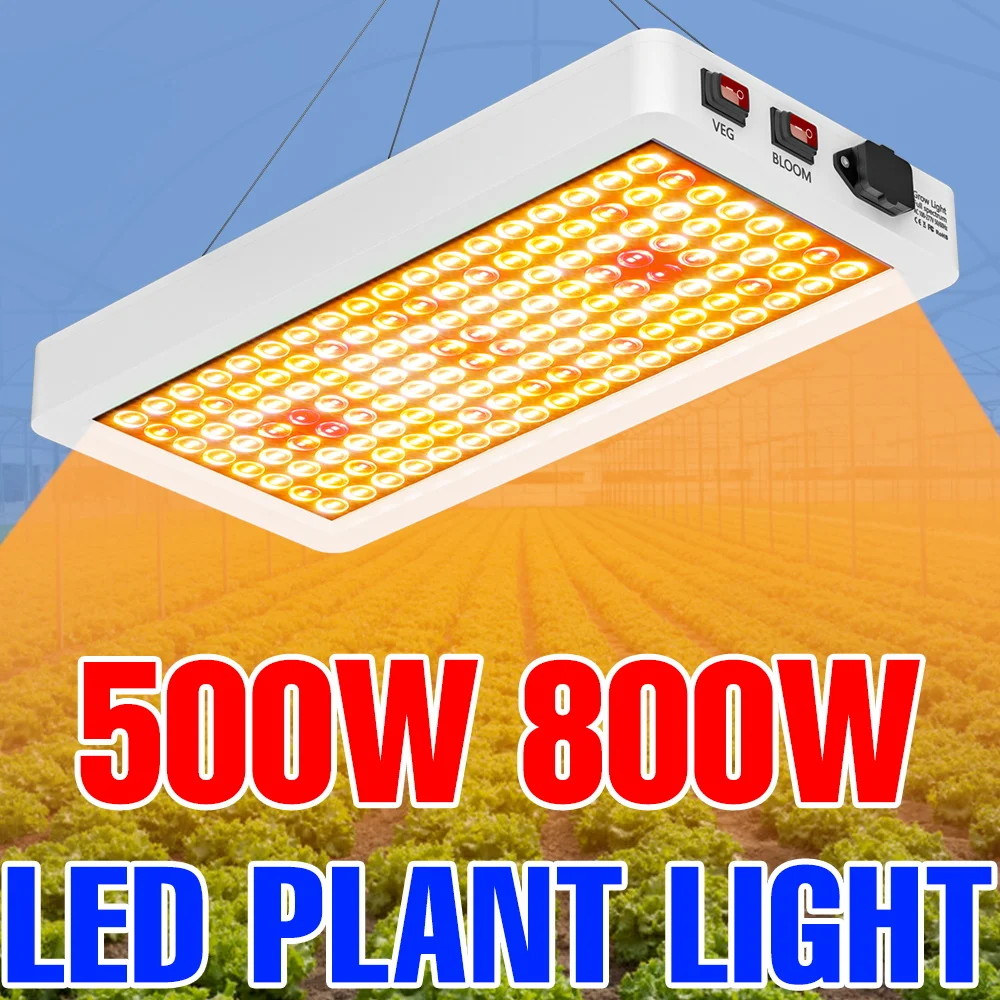 

800W LED Full Spectrum Grow Lights Full Spectrum Hydroponics Plant Cultivation Lamp UV IR For Greenhouse Moss Cactus Vegetables