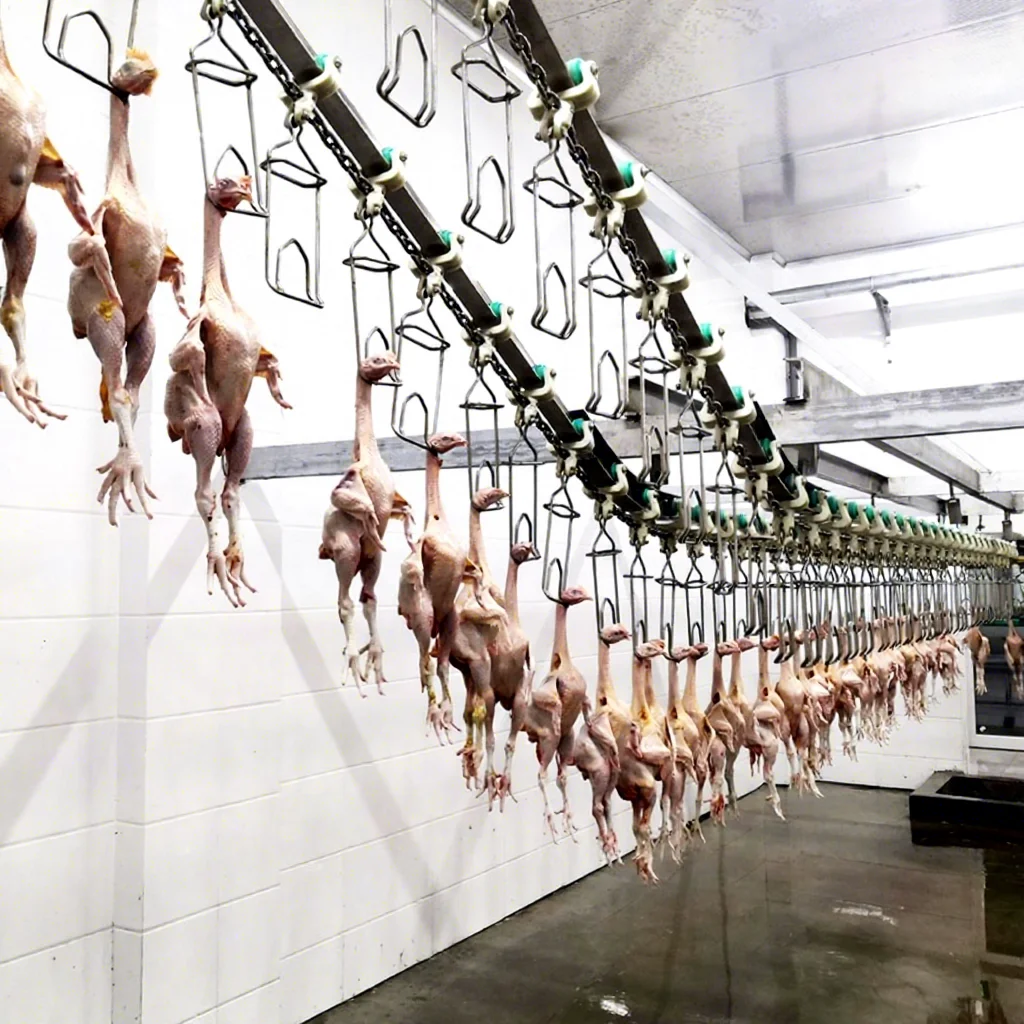 FL Poultry Slaughter Line Simple Operation Chicken Butchering Machinery for Unskilled Poultry Processing Worker