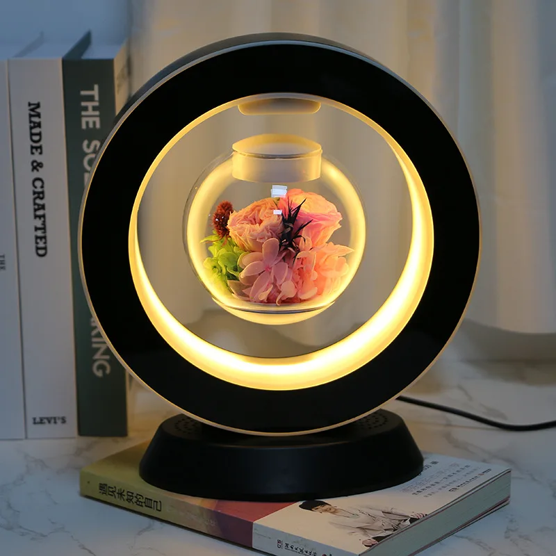 Magic Eternal Life with Lights, Creative Gift Box, Drawing Rotary Touch Switch, Round Suspension Night Light, Home Decoration