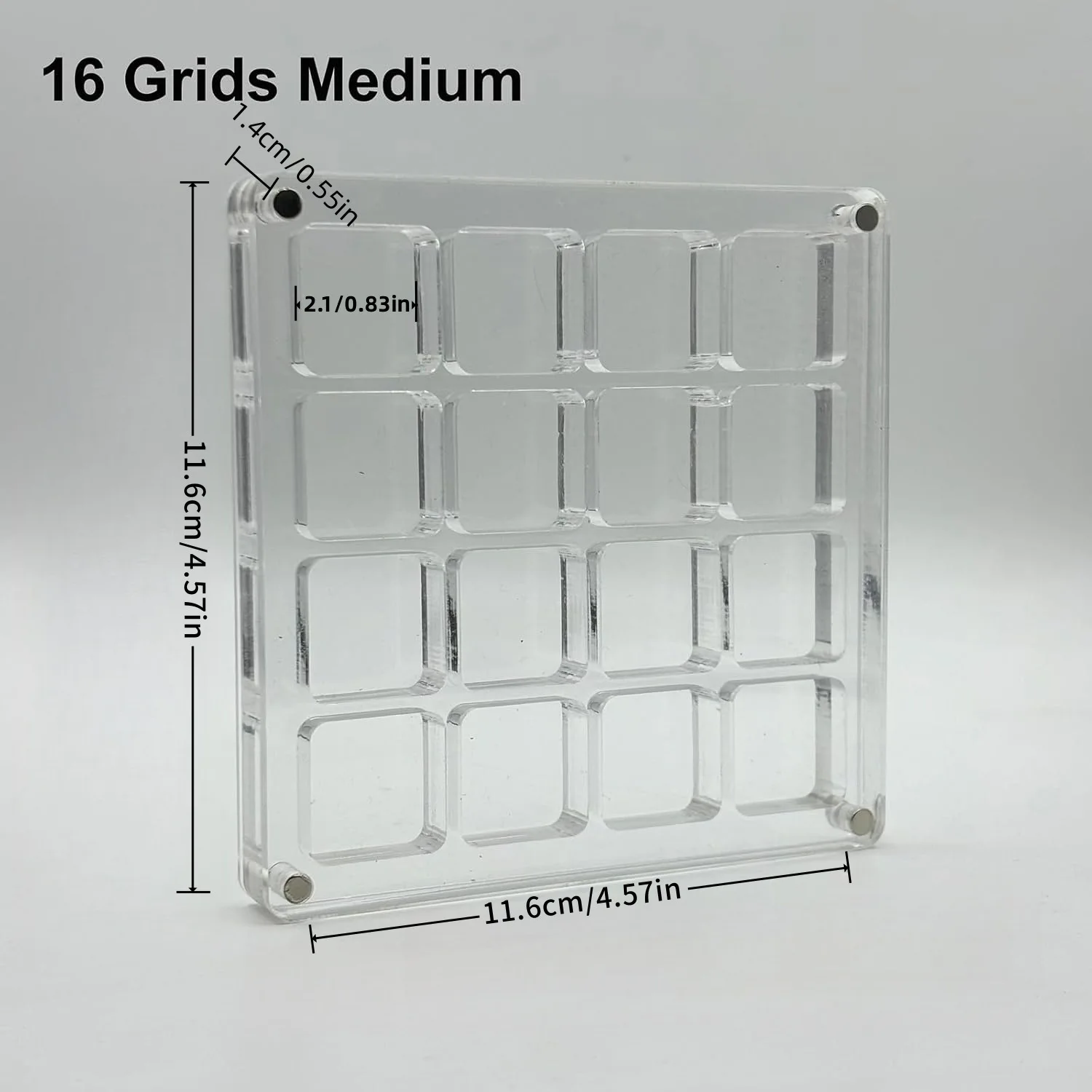 Acrylic Magnetic Seashell Display Box for Craft Storage