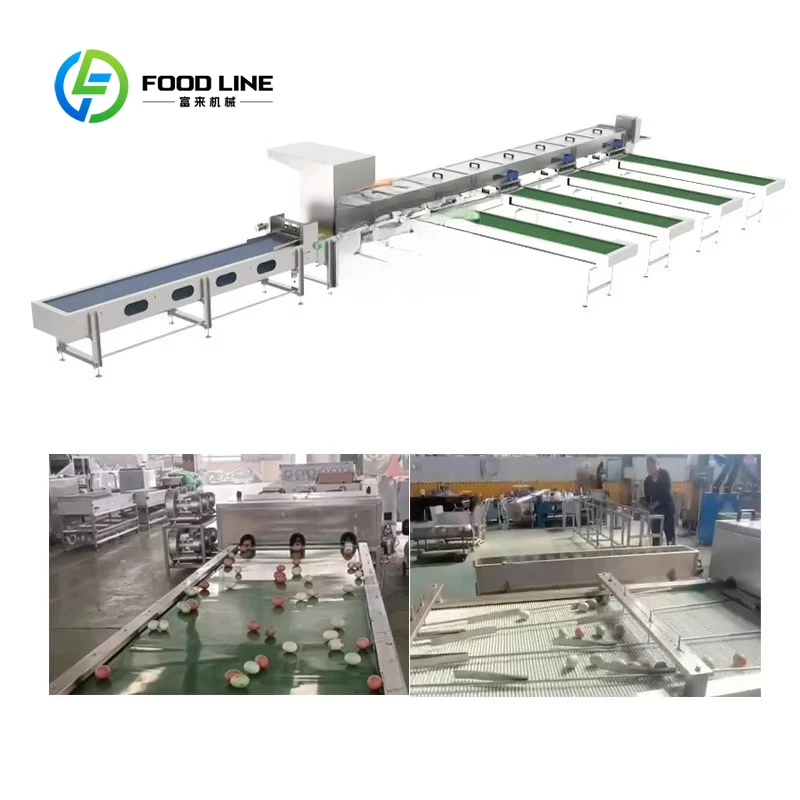 Egg sorting machine and grading machine Small egg washing, sorting, grading and packaging machine