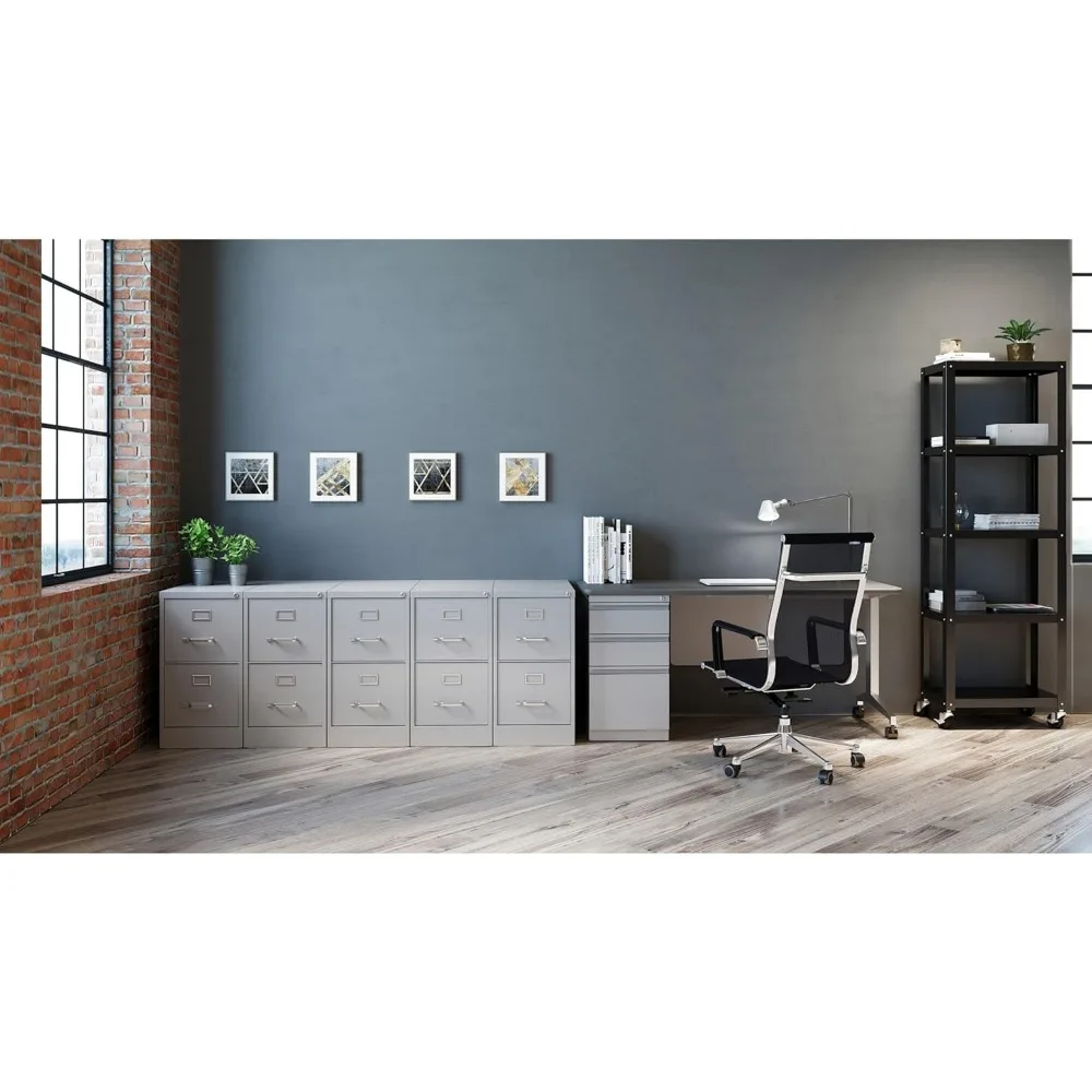 Fortress abschließbarer Aktenschrank aus Metall, 2 Schubladen, 25" x 15" x 28,4", Hellgrau