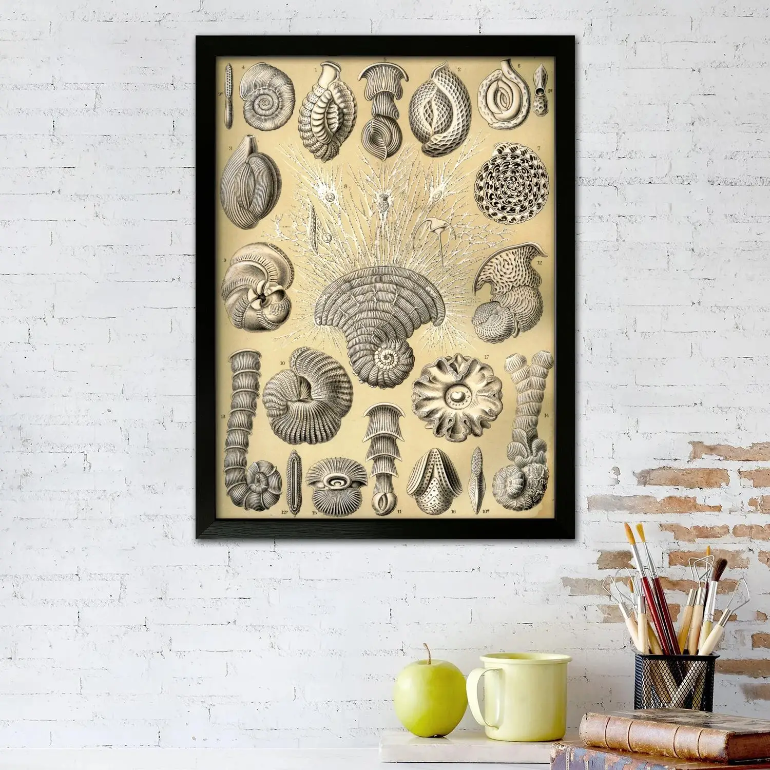 haeckel Canvas Art Poster and Wall Art Picture Print, Modern Family Bedroom Decor Posters,Decorative painting