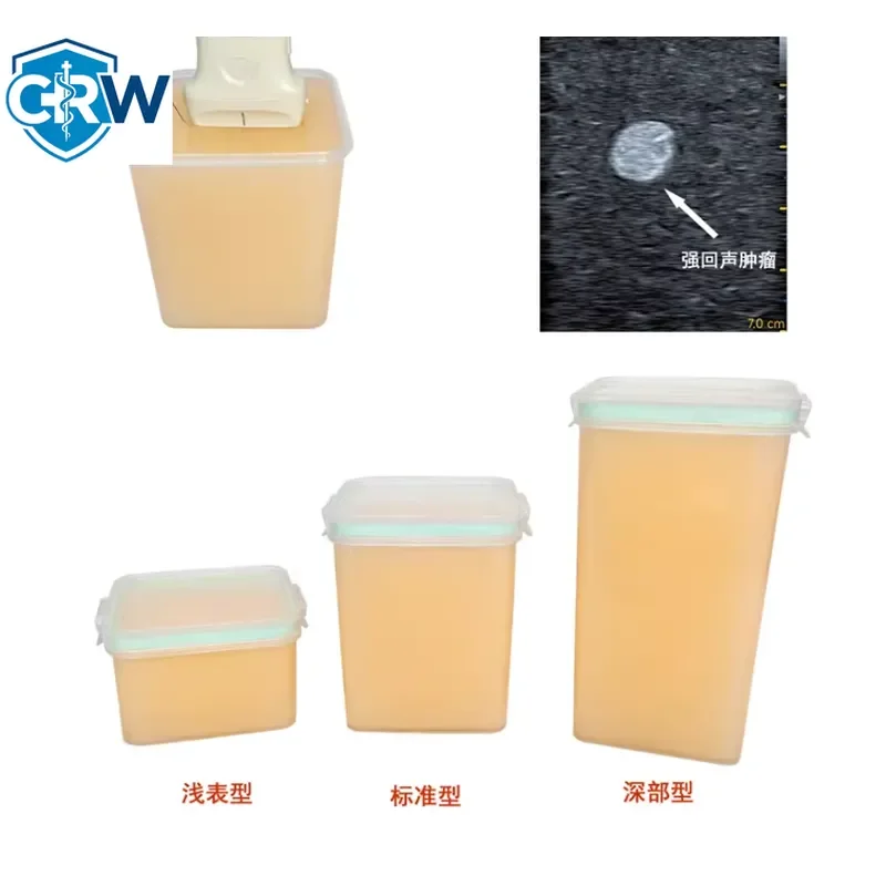 CRW Bestselling Ultrasound-guided Puncture Training Teaching Aid Tumor Puncture Model - Self-healing of Track Imprint