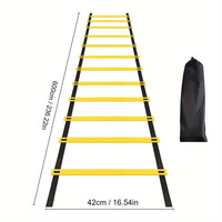 6M Flexibility Agility Ladder Nylon Strap Jumping Ladder Speed Training Fitness Stair Ladder Football Training Energy Ladder