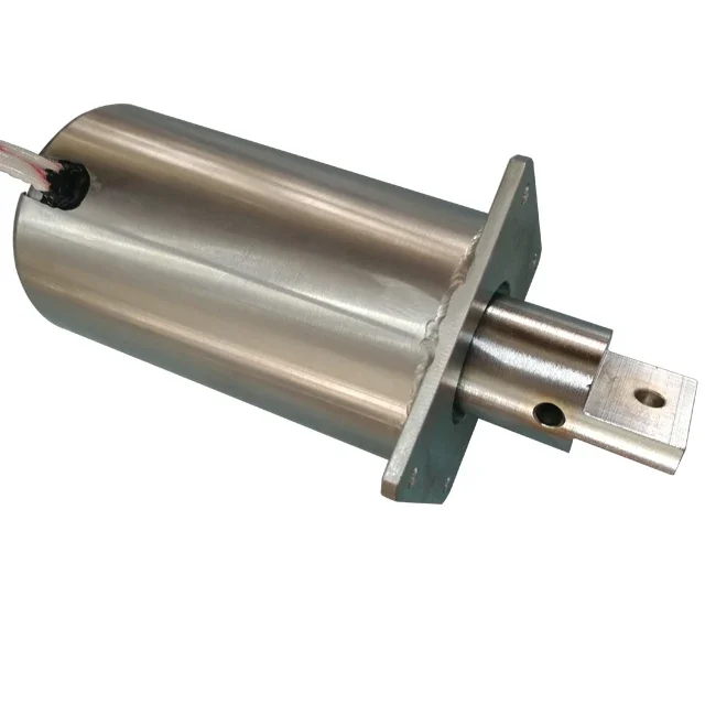 

30mm Long Stroke 36v 48v 220v Dc Push Pull Linear Solenoid Powerful Tubular Solenoid