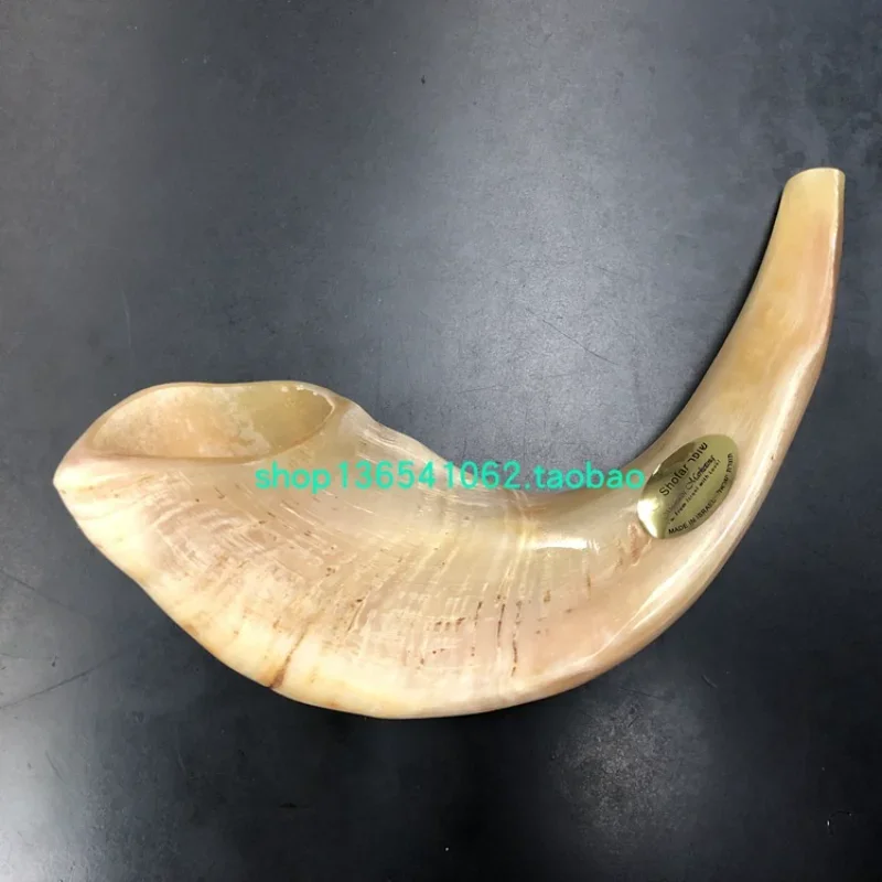 

Israeli mishaan marketing shofar original style 14~ 16 inches