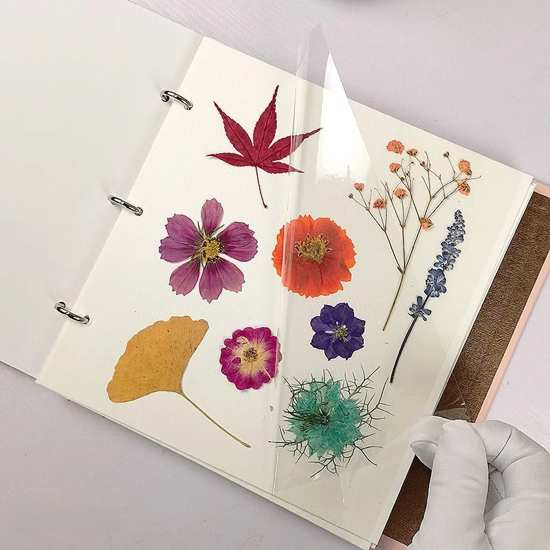 

Plant Specimen Collection Album Le Dried Flower Pred Flower Storage Album Loose Le Album Covered Film Creative Gift