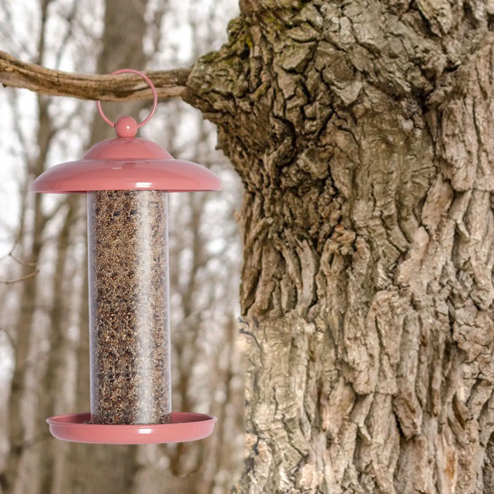 Bird Feeder House Shaped Bird Feeder for Budgies Birds Supplies Budgie