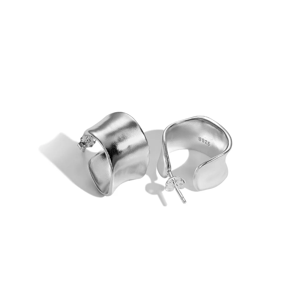 925 Pure Silver Ear Studs for Women's Instagram Style, Irregular High-end Feeling, Niche Fashion Earrings