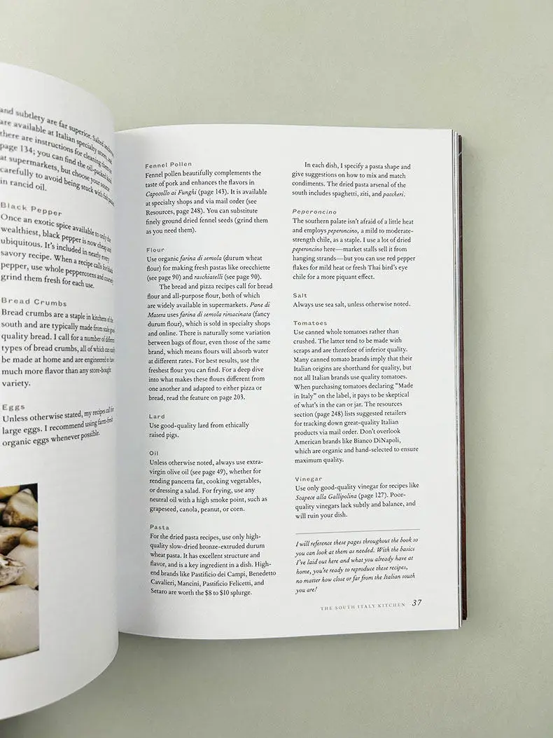 Essen des italienischen Südens: Englische Originalrezepte, verlorene Gerichte, IACP-Preis, Hardcover-Buch, italienisches Kochbuch, Neu – Detail 4
