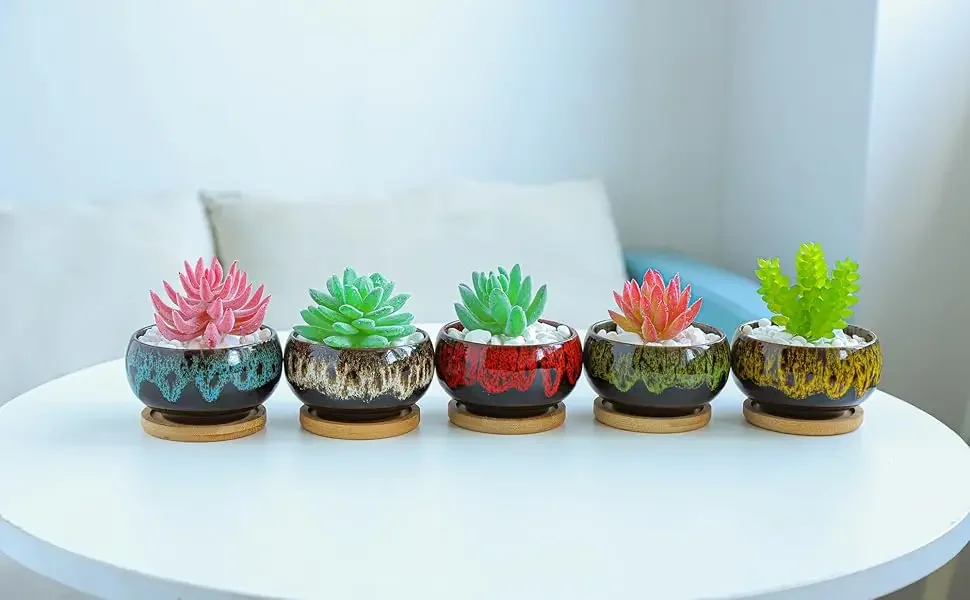 Round Simple Cute Potted Plant Container Does Not Include Plants Ceramic Succulent Planter4Inch5Set with Tray Drainage Hole