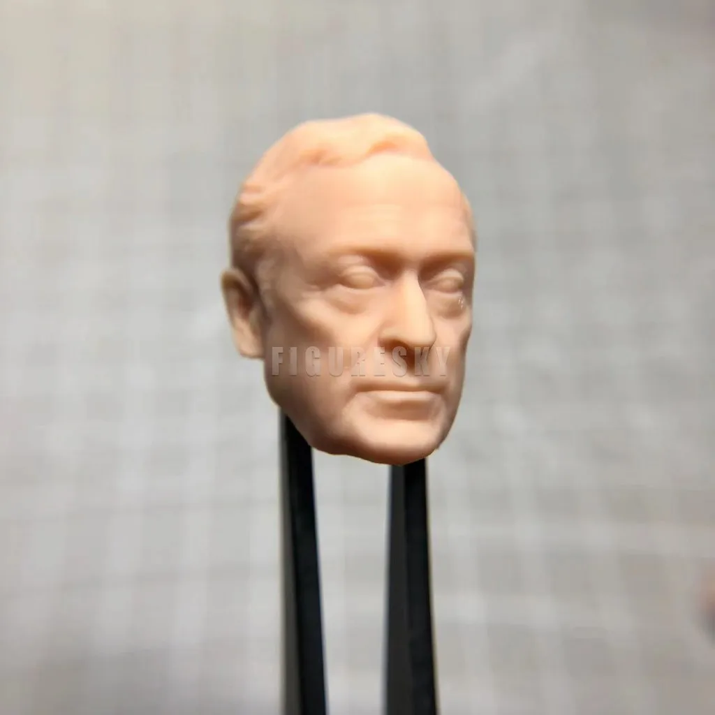 

HL225 DIY Customized 1/18 1/12 1/10 Alfred Unpainted Head Sculpt for 3.75" 6" 7" Figure SHF ML Mafex Mez NECA Mcf