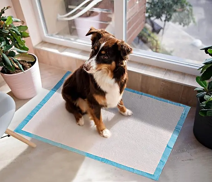 

Pet Training Pads Ultra Absorbent - Leak-Proof Odor-Control & Eco-Friendly for Dogs/Cats (M/L/XL Sizes)