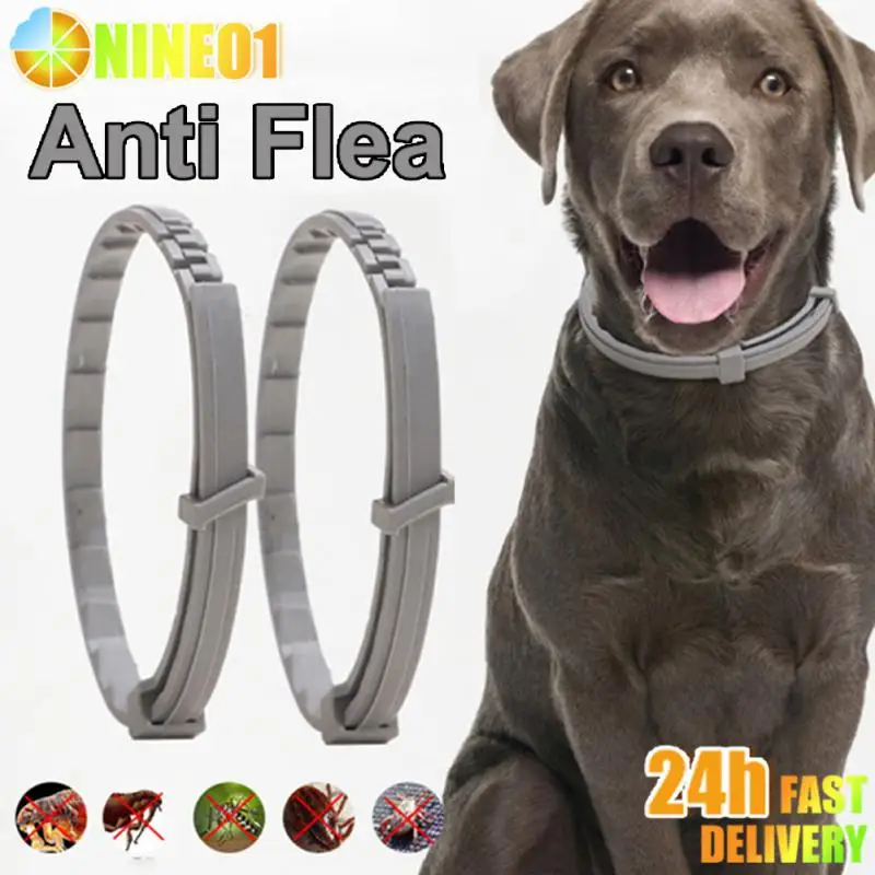 Collar para perros y gatos, garrapatas antipulgas, mosquitos, collares ajustables para mascotas al aire libre, cables de protección a largo plazo de 8 meses, accesorios para mascotas