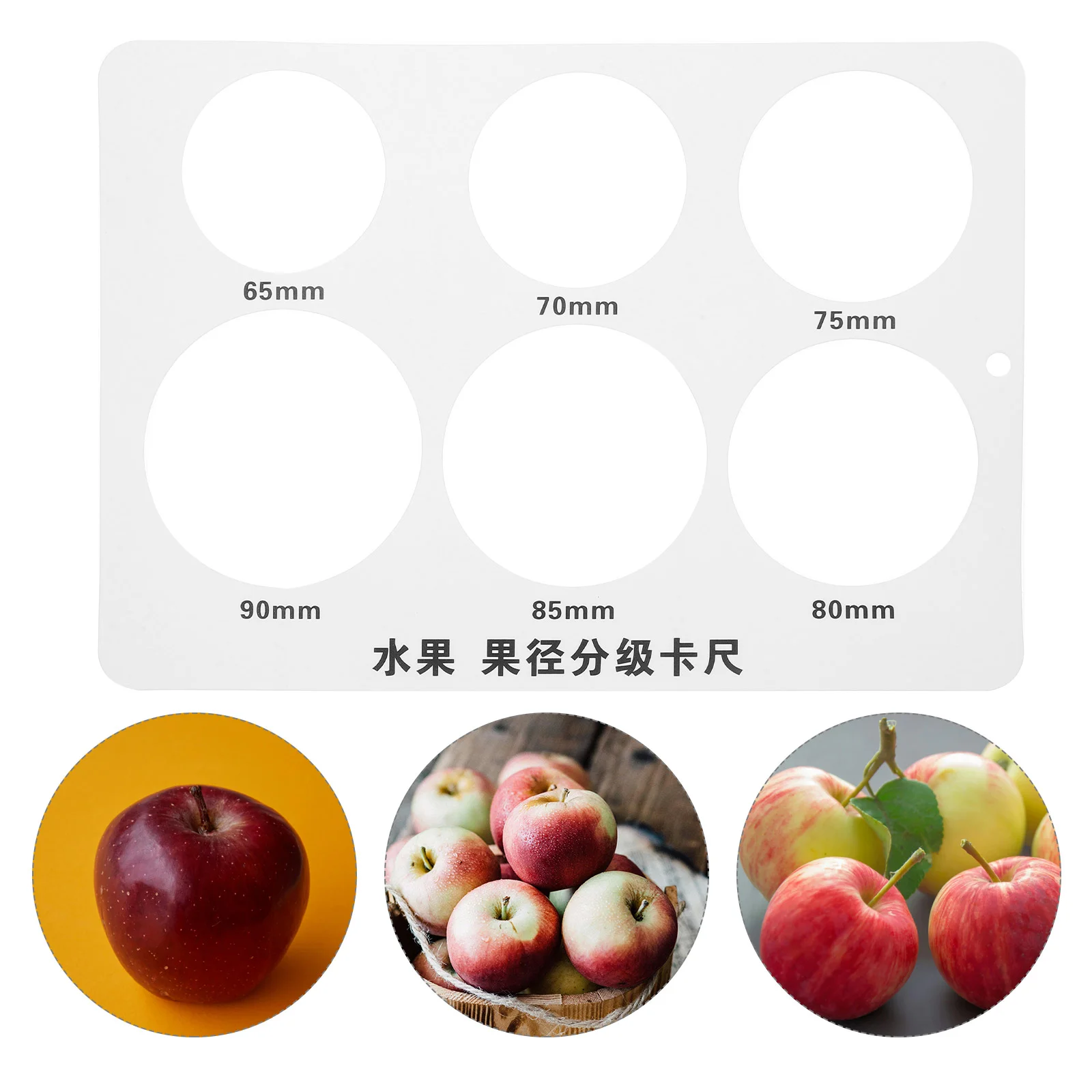 

Fruit Measuring Ruler Fruits Circle Tools Diameter Gauge Lap Pear Measurement for Device