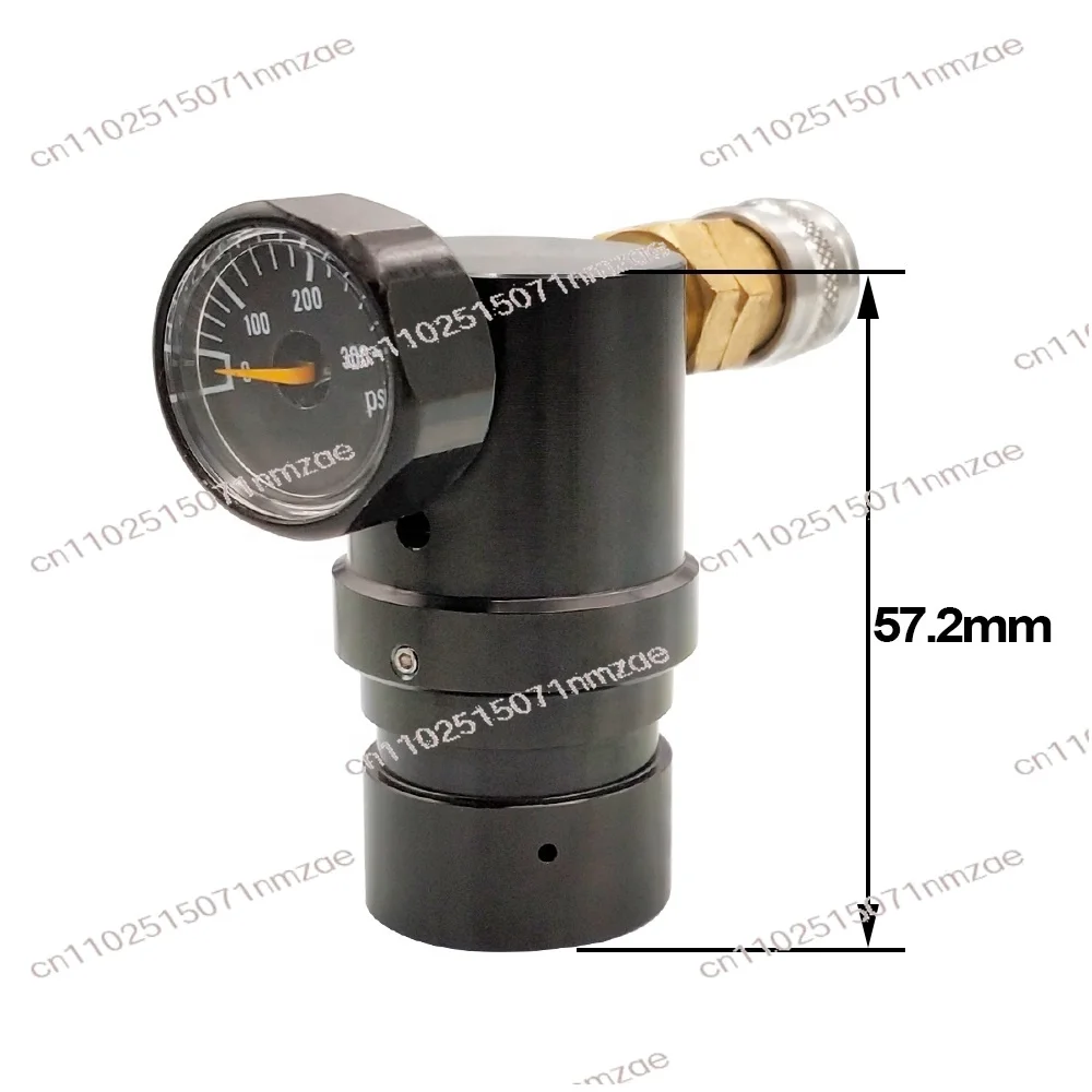 Low Pressure Gas Regulator 0-200 PSI - With Coupler & Hose