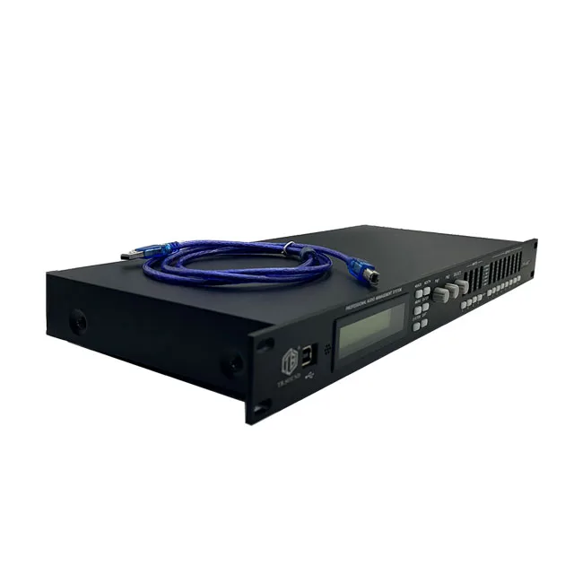 High Power Matching DSP Processor Stage Line Array Speaker Professional Sound Device