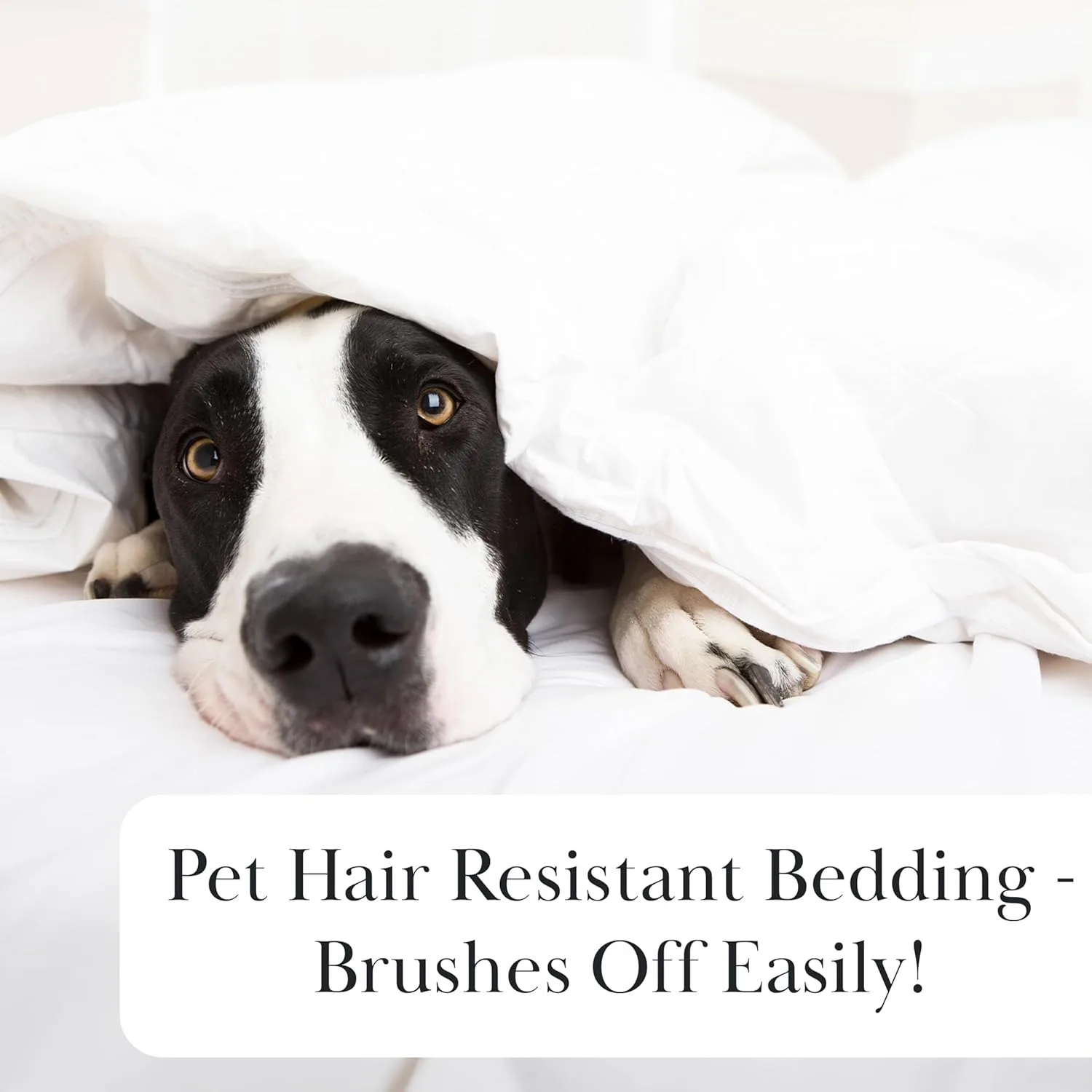 6-Piece Extra Deep Pocket King Sheets Set, Hotel Collection King Size Bed Sheets with 21" Deep Pocket Fitted Sheet, Bone