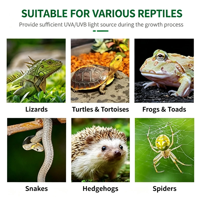 Reptilien-Wärmelampe UVA UVB Licht Drehbare Wärmelampe Simuliertes Sonnenlicht für Schildkröten und Eidechsen Dimmbare Heizlampe ﻿ – Detail 5