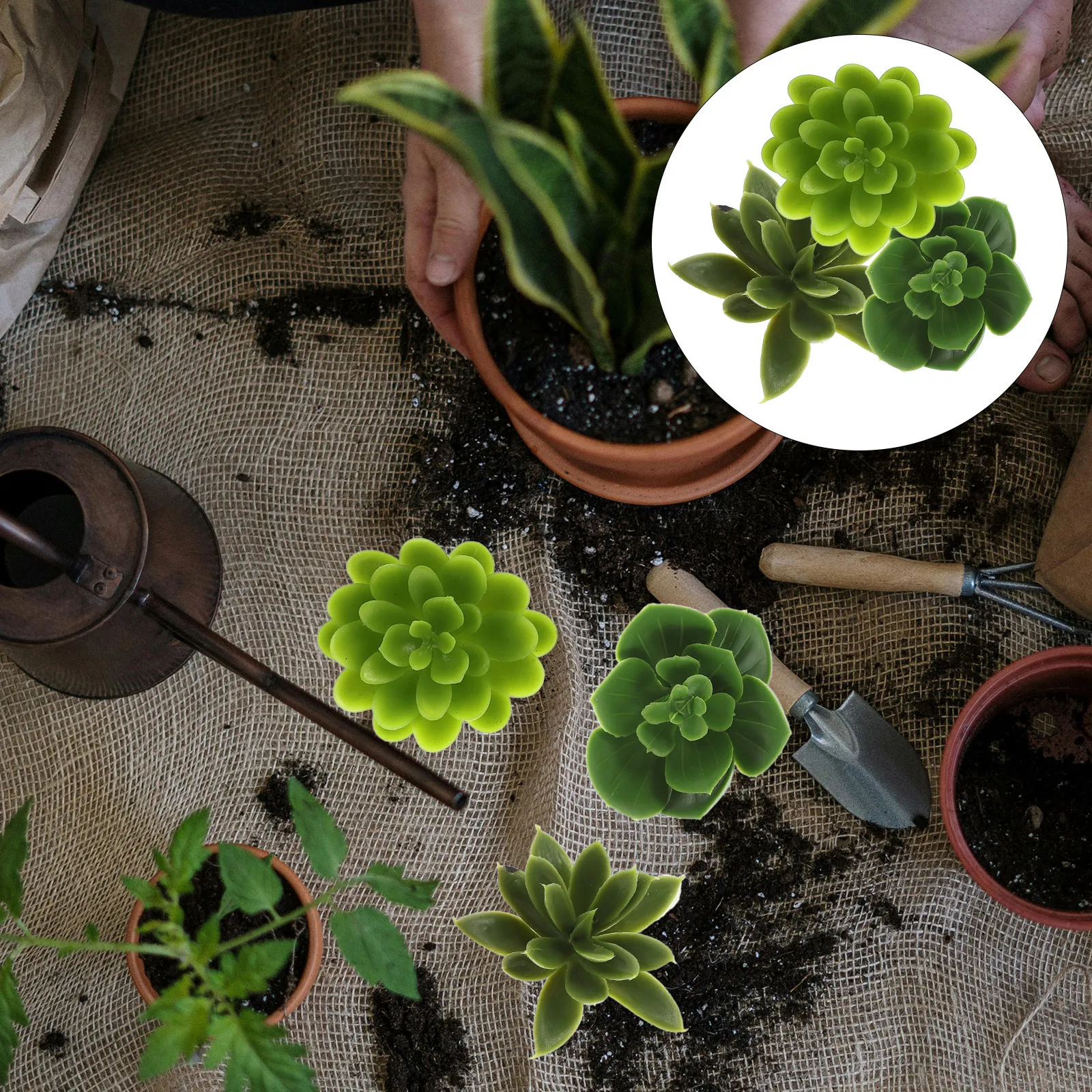 

3pcs Simulated Decor Lifelike Twig Artificial Succulent Cuttings Ornament For Home Office Decoration Indoor Potted