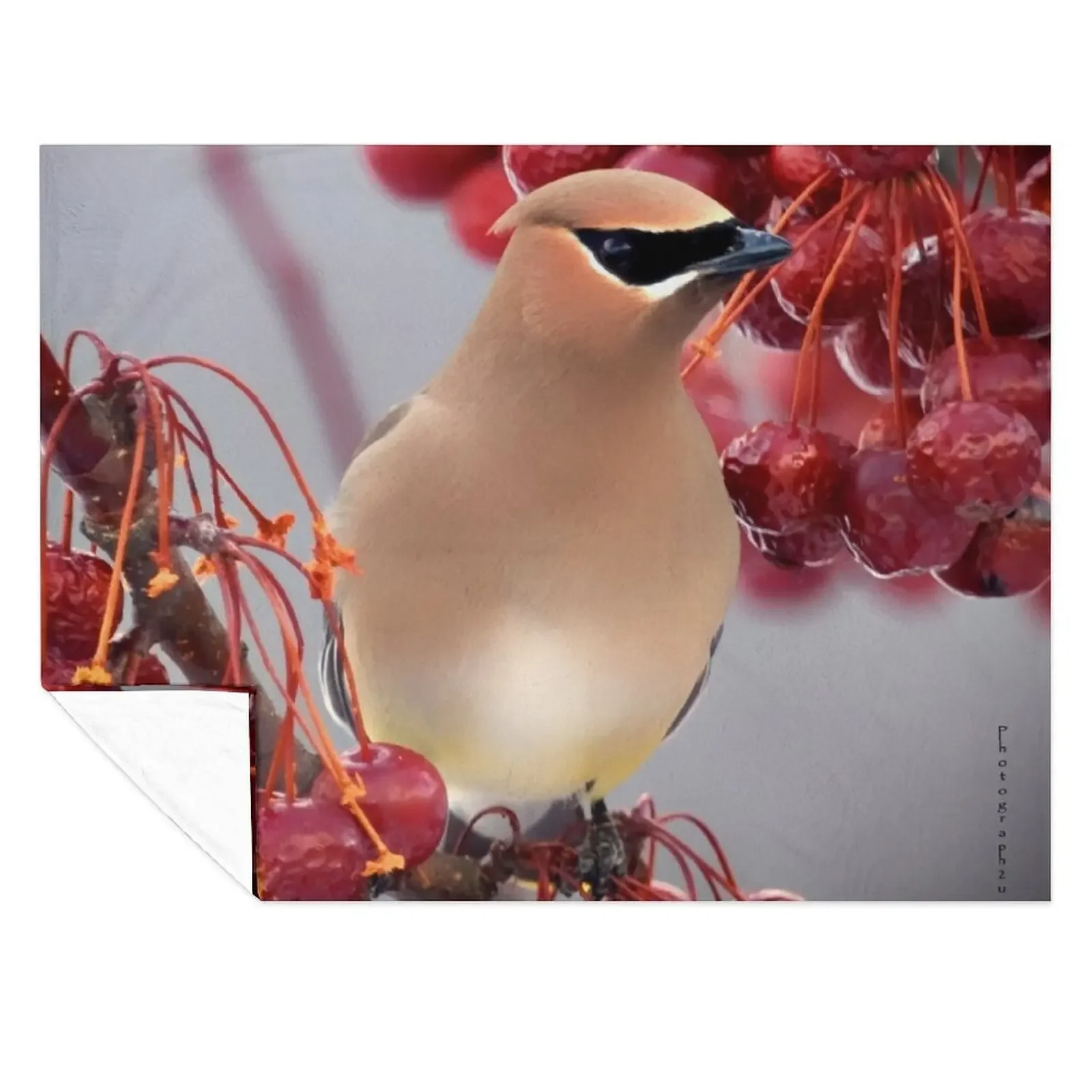 

Second Cedar Waxwing Throw Blanket funny gift Blankets For Sofas Designers warm winter Blankets