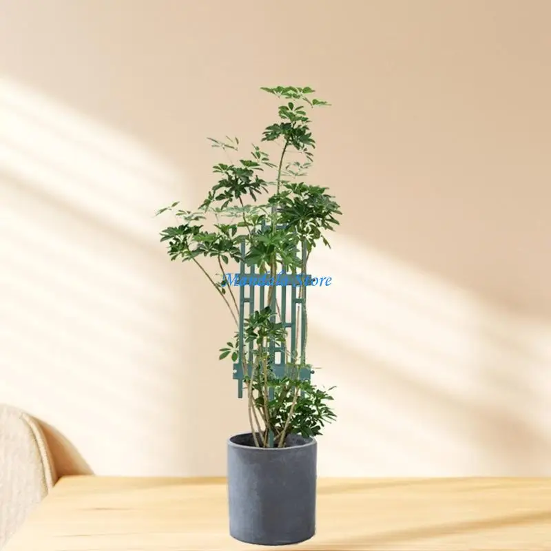 

U2JC Indoor Plant Trellis Plastic Support Convenient Indoor Plant Trellis Helps Climbing Flowers Grows Strong And Healthy