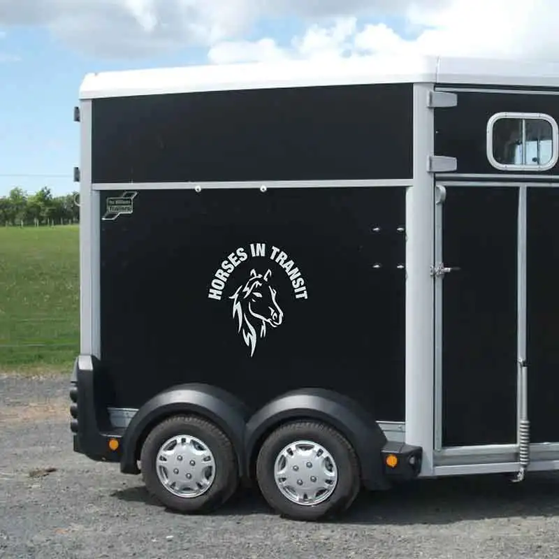 HORSES IN TRANSIT Quote Wall Sticker Equestrian Horse Head Horsebox Trailer Vinyl Decal Waterproof Size Color Tailored Q186