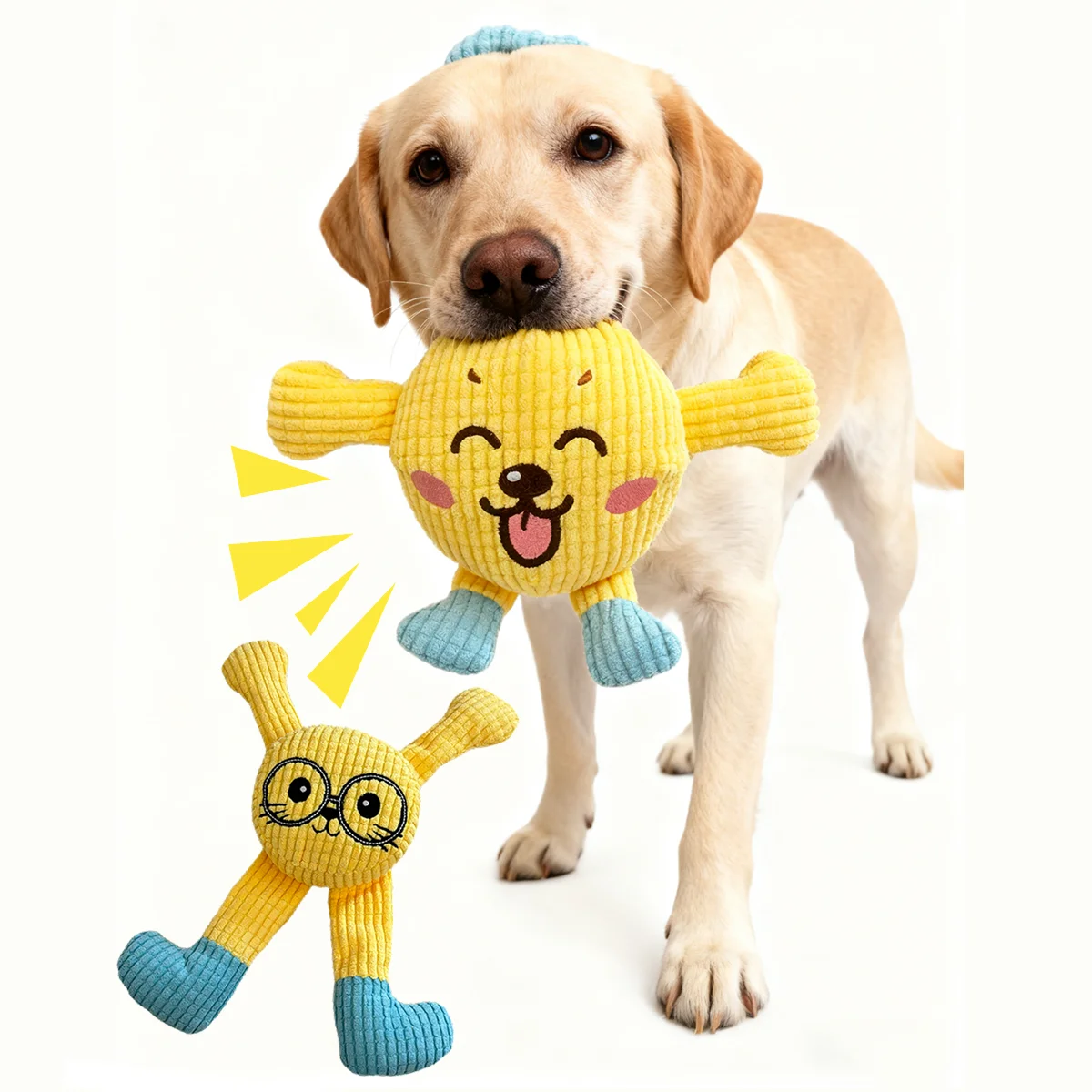 Cute Cartoon Plush Dog Toy Pack, Squeaky Bite Resistant Chew Toy, Teething Stress Relief, Interactive Play Supplies for Puppy, S