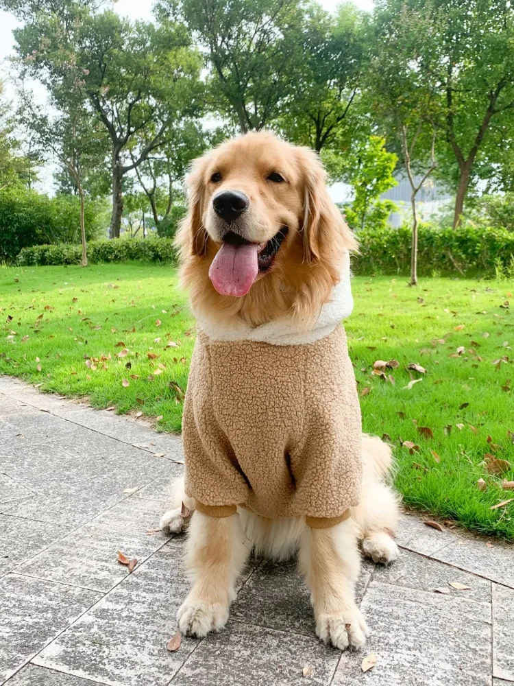 Dog Clothes Winter Golden Hair Labrador Border Collie Winter Thickened Warm Medium And Large Dog Autumn And Winter Clothes