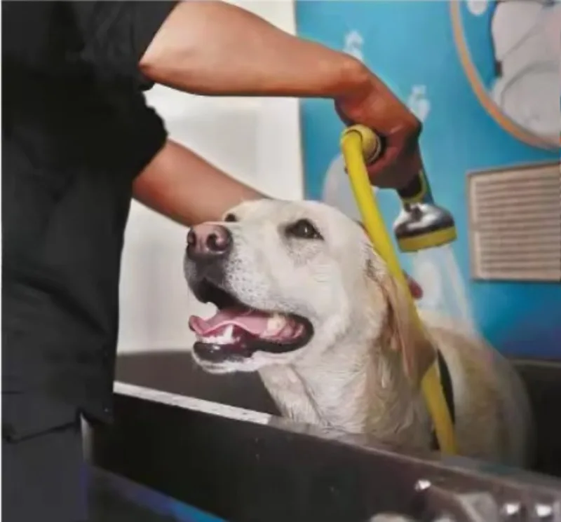 Factory Direct Sales Convenient Pet Washing Solutions New Design Dog Washing Machine Hygienic Smart Pet Washing Vending Machine