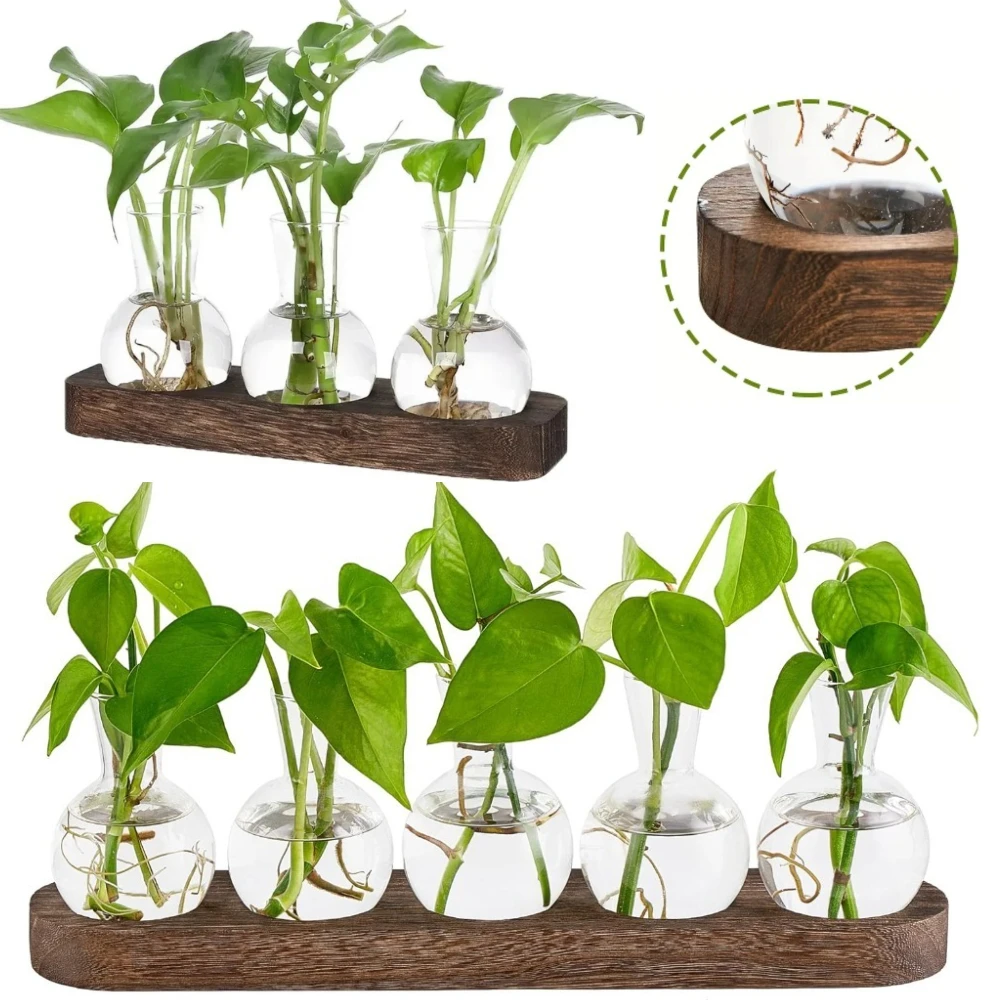 Kreative Pflanze Transparente Hydrokultur Glasvase mit Holztablett für Blumen Pflanzenschneiden Verwurzelung Topf Desktop-Dekoration