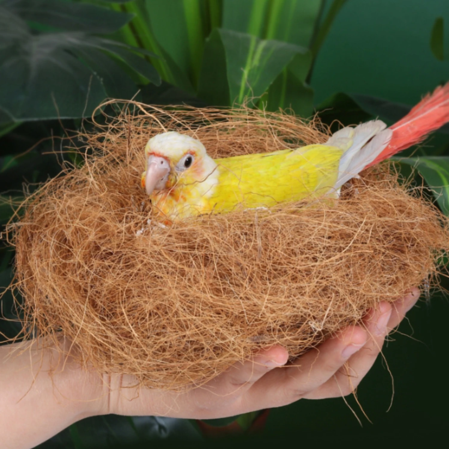 50g/100/200g Coconut Fiber Nesting Material Nest / Fibre Aviary Birds Canaries Finches Nest Filled Grass Bird Cage Accessories