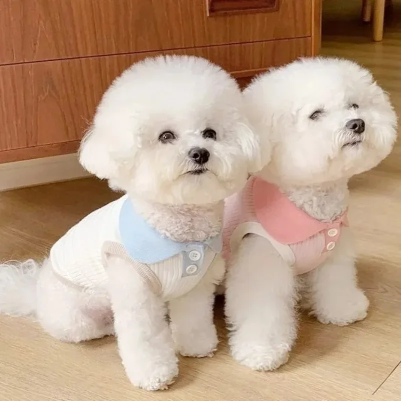 Ropa de Verano para Perros, Ca - Summer Dog Clothing reseña y precio