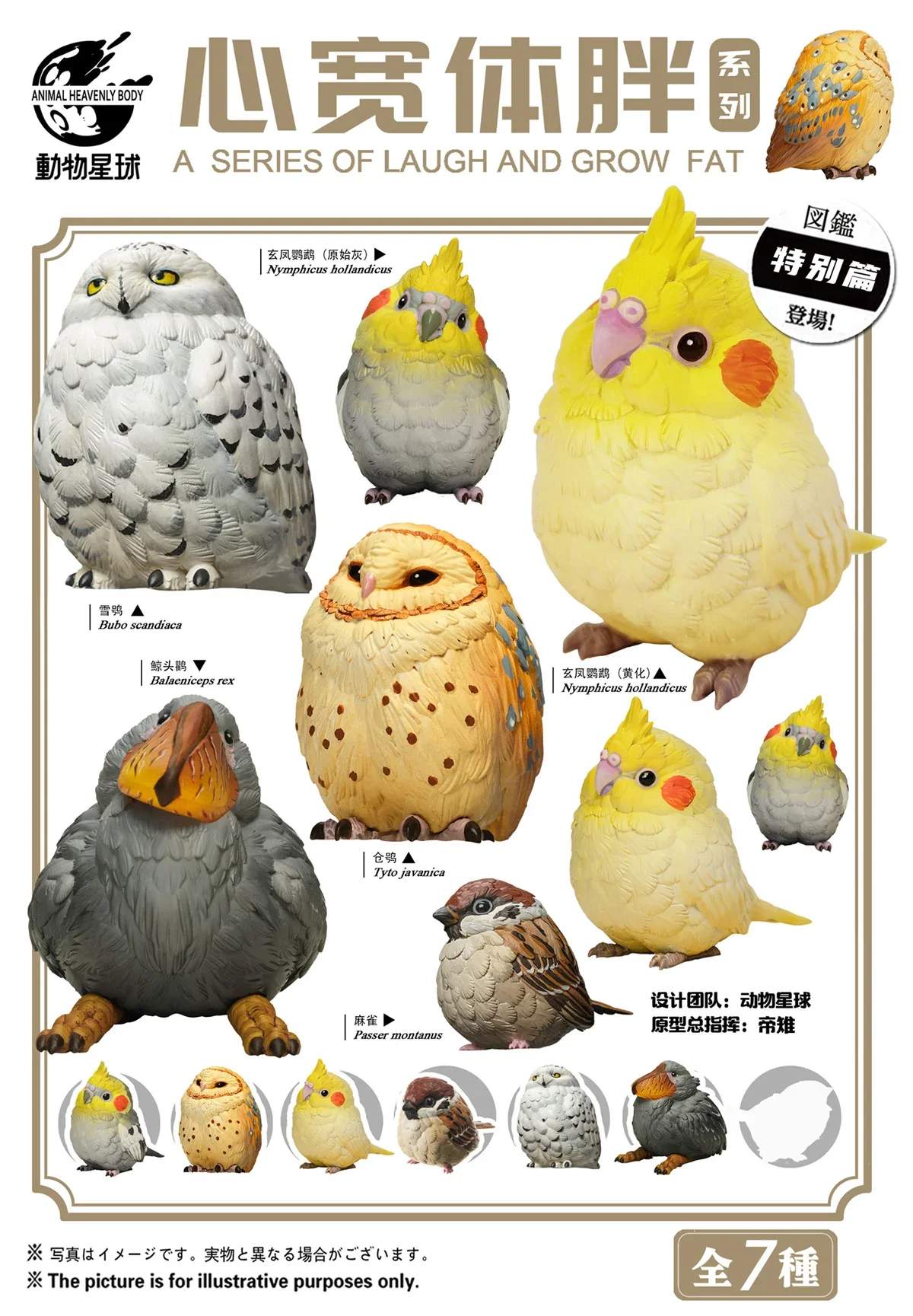 6Pcs Animal Planet A Series of Laugh and Grow Fat Birds 2.0 Blind Box Model Balaeniceps rex Collector Decoration Gift