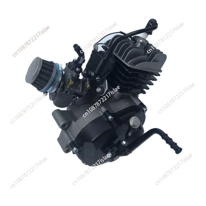 50cc 2-Stroke Air-Cooled fuel Engine, Go Kart & Dirt Bike Motor for Bicycle Modification