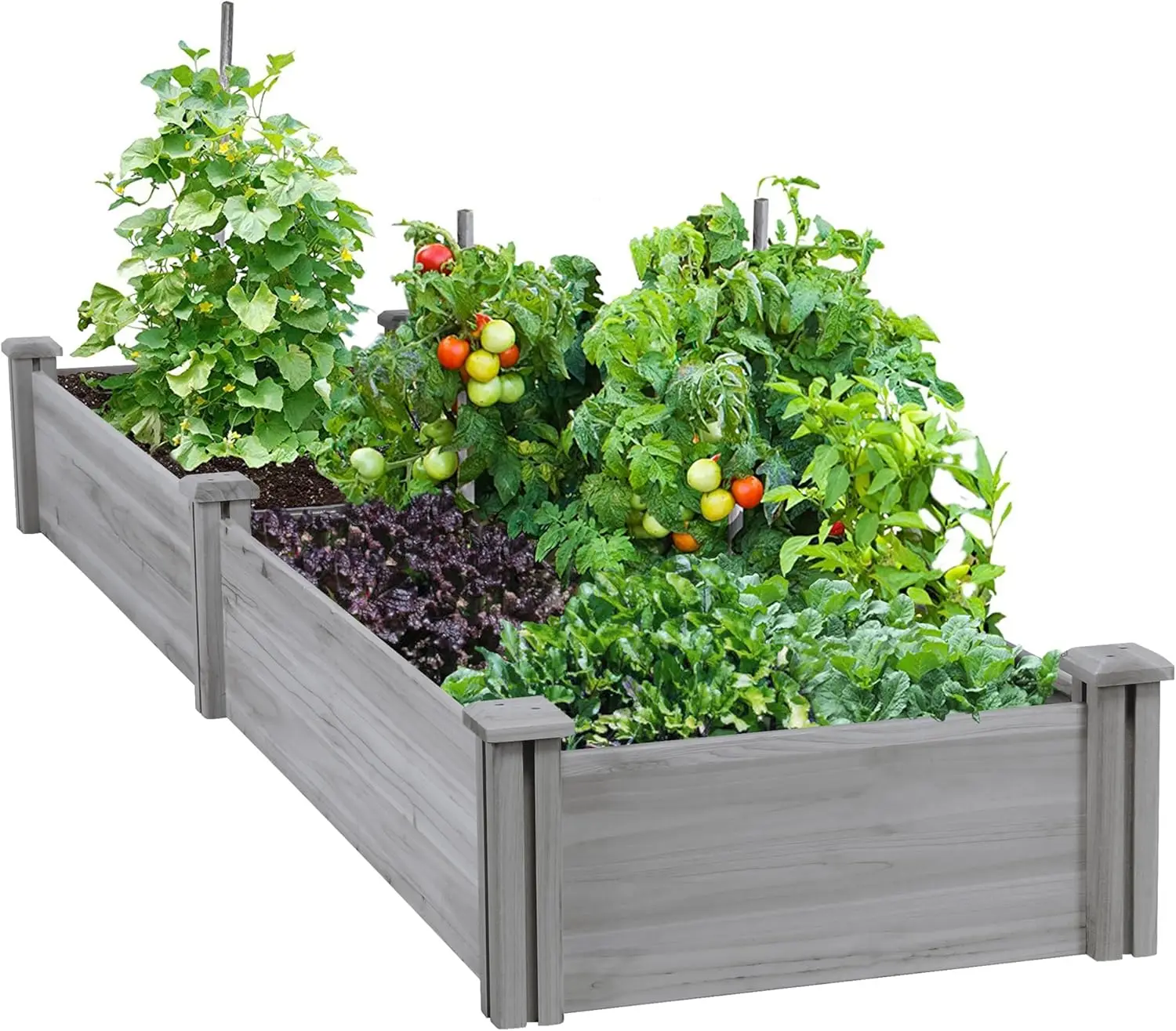 

8×2ft Wooden Horticulture Raised Garden Bed Divisible Elevated Planting Planter Box for Flowers Vegetables in Backyard Outdoor