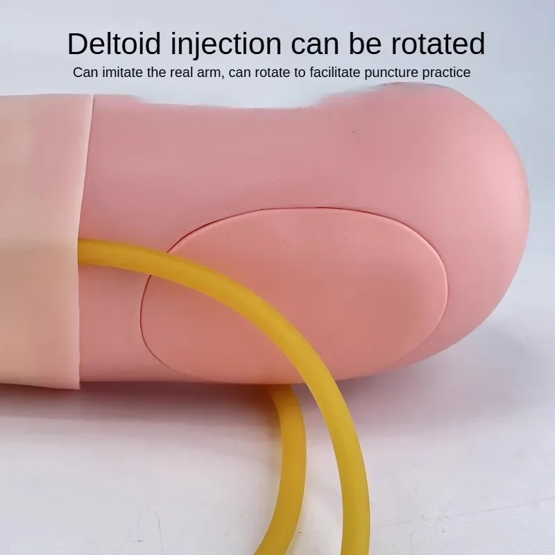 

Venous Puncture Infusion and Intramuscular Injection Training Arm Model Nurse Blood Drawing Practice Injection Arm Model