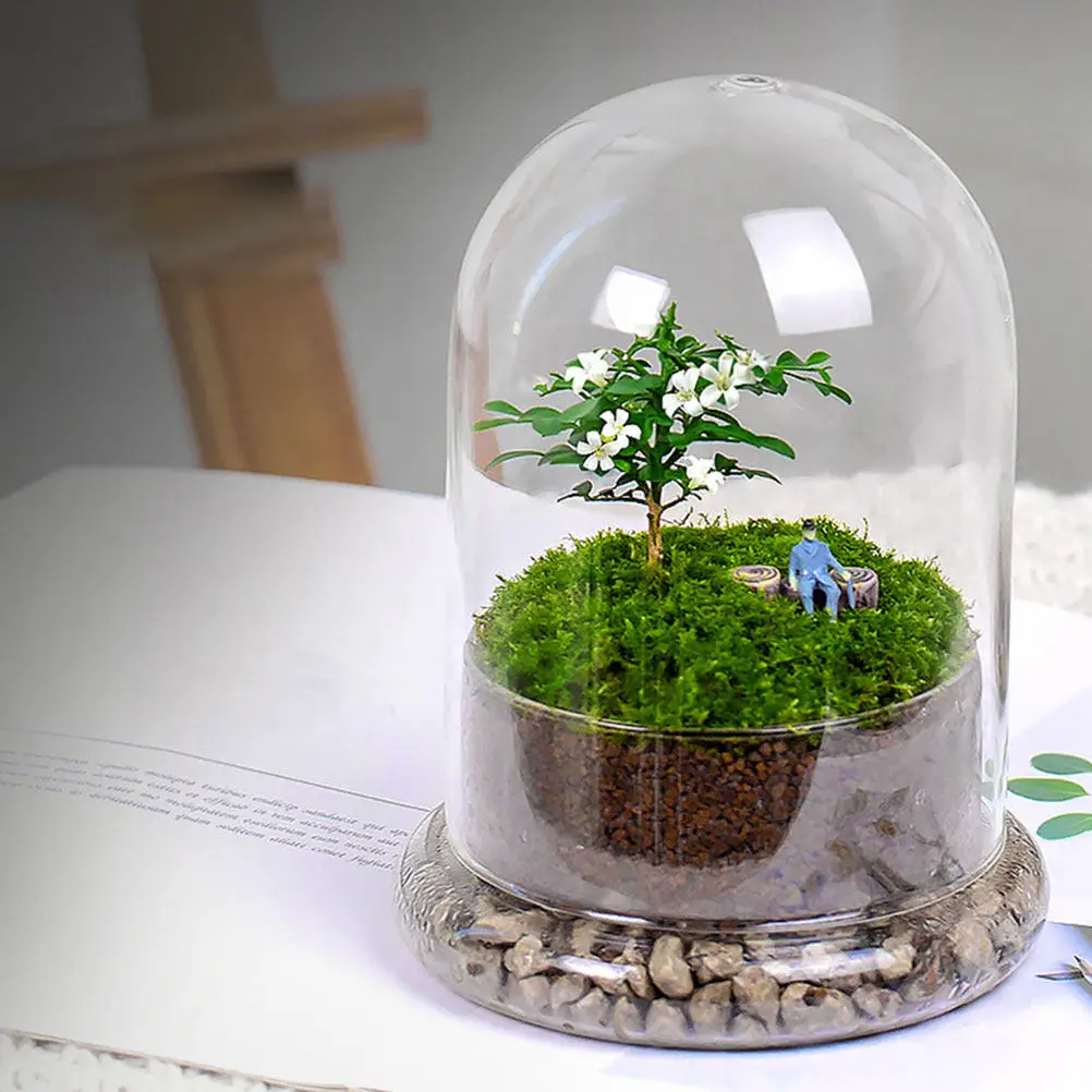 Micro Landscape Ecological Bottle Clear Glass Dome Terrarium for DIY Indoor Plants Desktop Decoration Drought Resistant