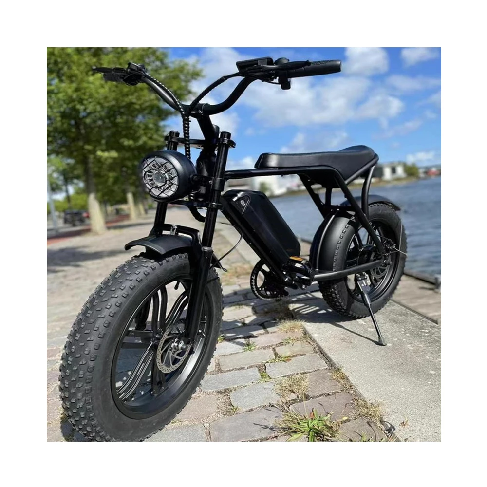 

48V 750W 1000W 50 Km/h Electric Bicycle