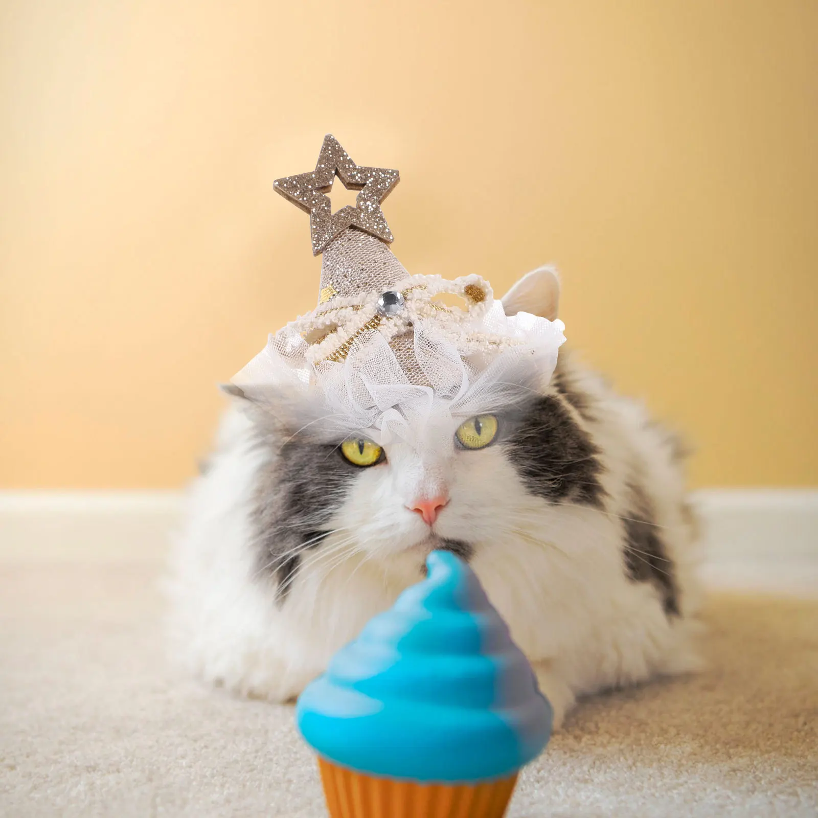 

1Set Birthday Hat Bowtie Set for Cats Dogs, Cute Party Grooming Accessories, Adjustable Pet Headdress Decor for Photo Festival